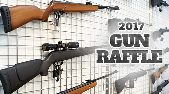 2017_gun_raffle.jpg