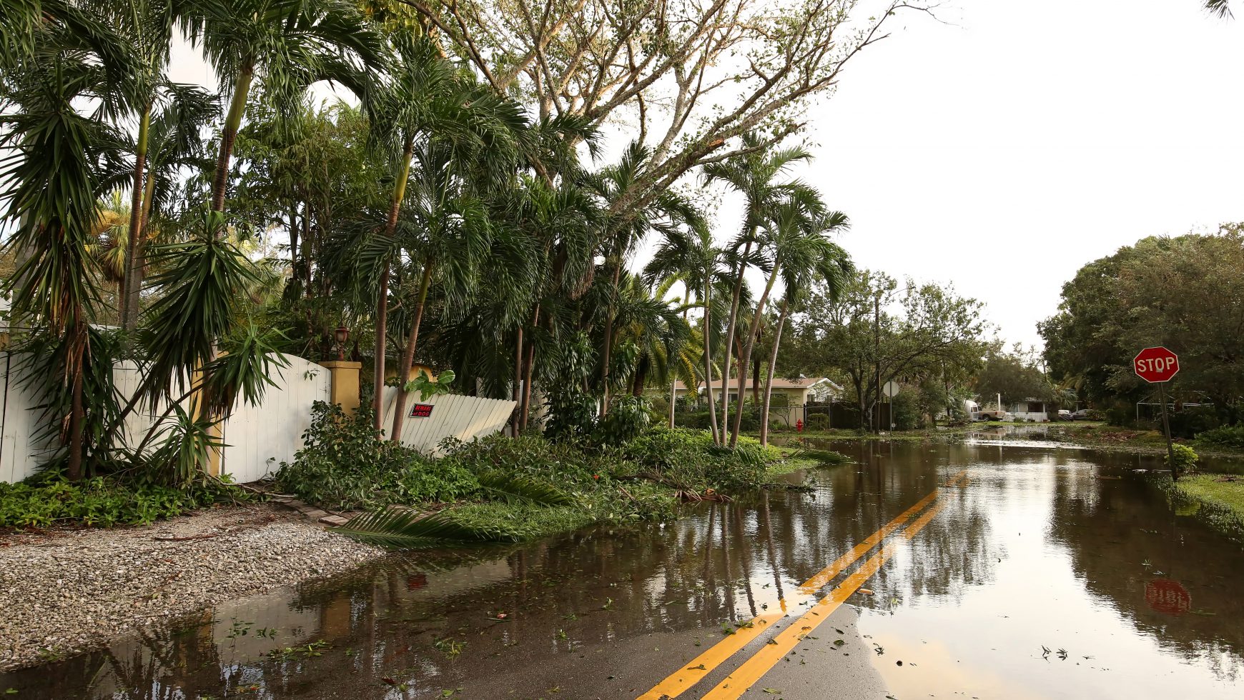 2019 Florida Hurricane Preparedness
