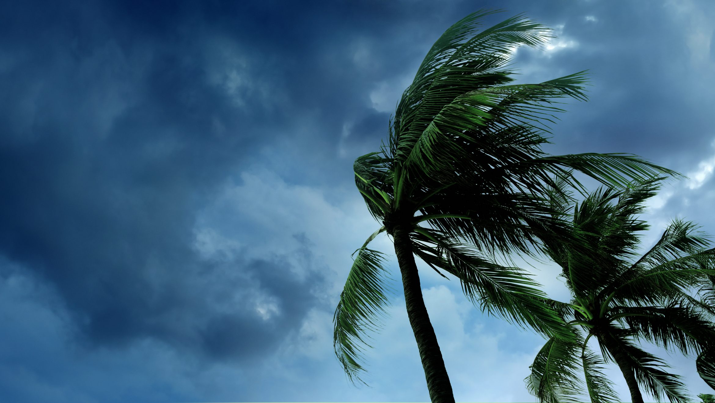 2020 Florida Hurricane Preparedness