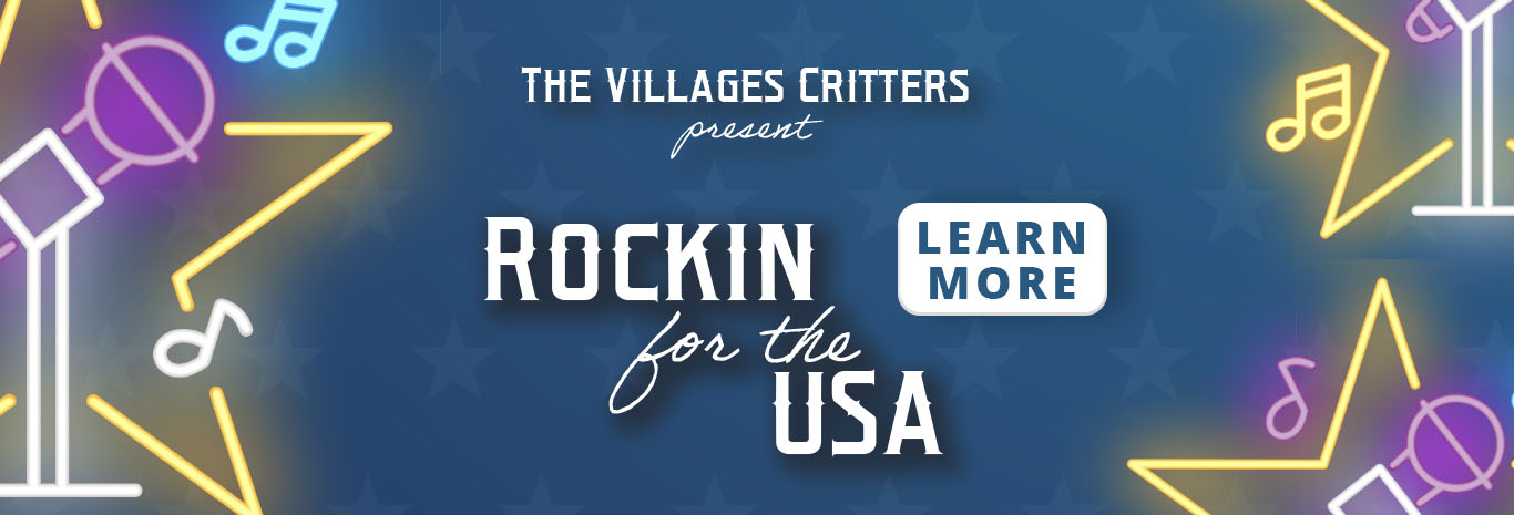 slide_rockin_usa.jpg
